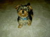 Mr. Sunshine, Sonny
