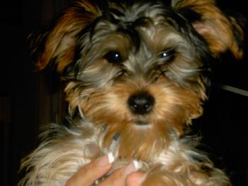 Mr. Sunshine, Sonny