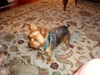 Robby