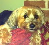 Molly