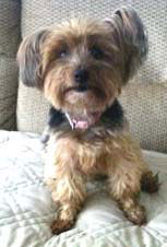 Molly
