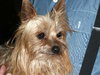 Romey