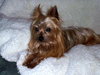 Romey