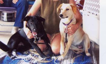 Lucy and Cody