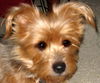 Gidget Girl