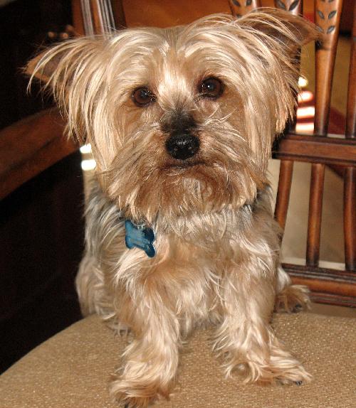 Cooper