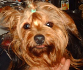 Molly