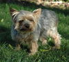 Spencer