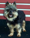 Miss Nicky