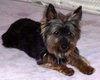 Miss Nicky