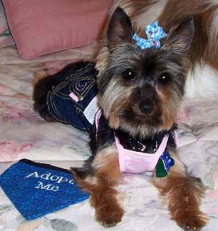 Miss Nicky