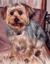 Remy