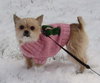 Penny Lane