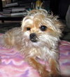 Penny Lane