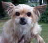 Penny Lane