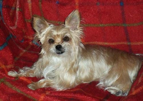 Penny Lane