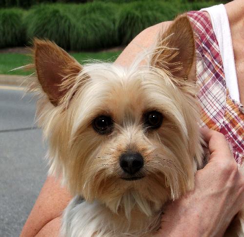 Chloe from Whippany