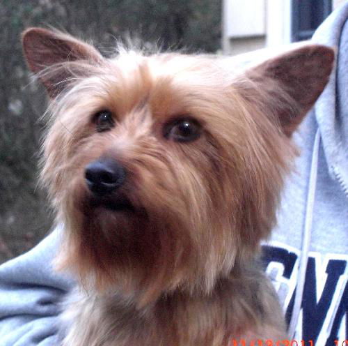 Flynn