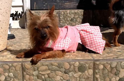 Izzy Belle