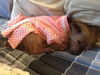 Izzy Belle