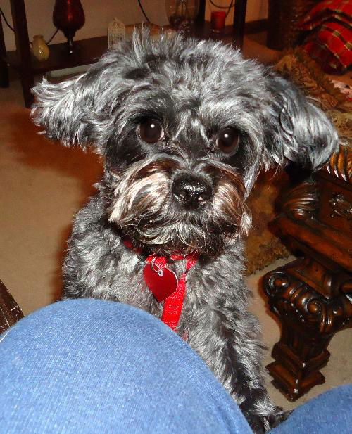 Miss Lucy