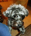 Miss Lucy