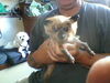 Jillie Tempy