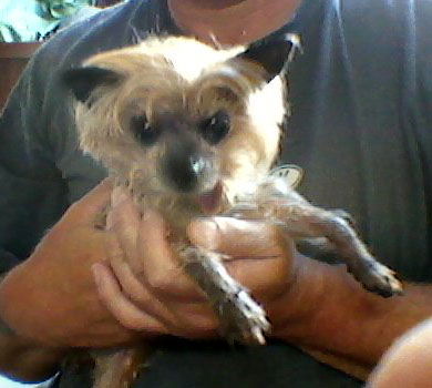 Jillie Tempy