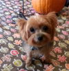 Lilly La Rue