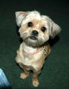 Peggy Sue So Cute