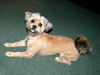 Peggy Sue So Cute