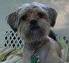 Peggy Sue So Cute