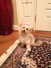 Mindy