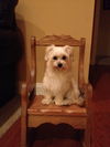 Mindy