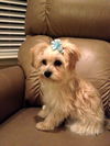 Mindy