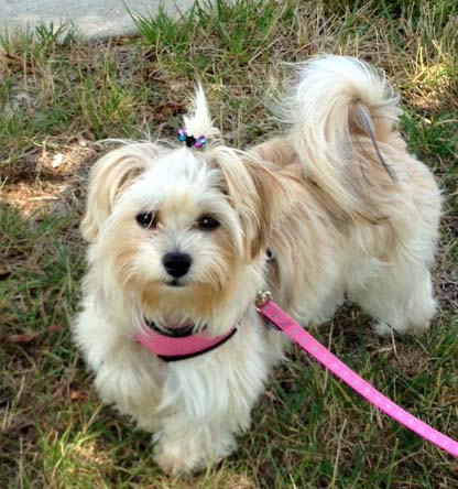 Mindy