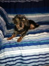 Roxy