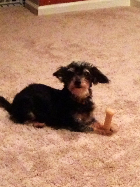 Roxy