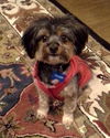 Teddy Grove
