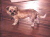 Penny