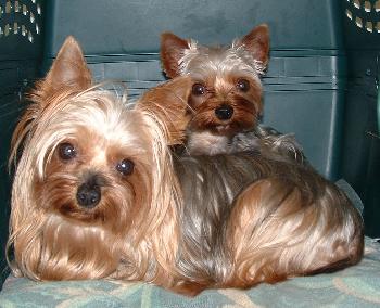 Lily and Stanley