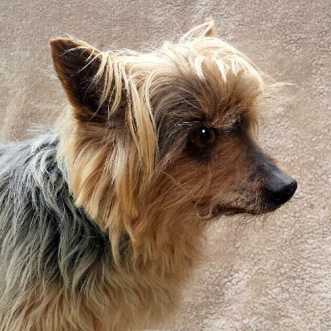 Sparky Says Hey!  COURTESY POSTING!