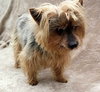 Sparky Says Hey!  COURTESY POSTING!