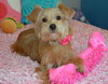 Penny Lu