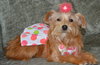 Penny Lu