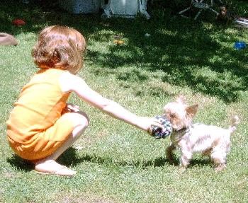 Little Lou