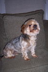 Riley
