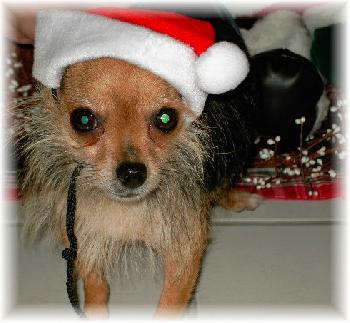 Little Lulu