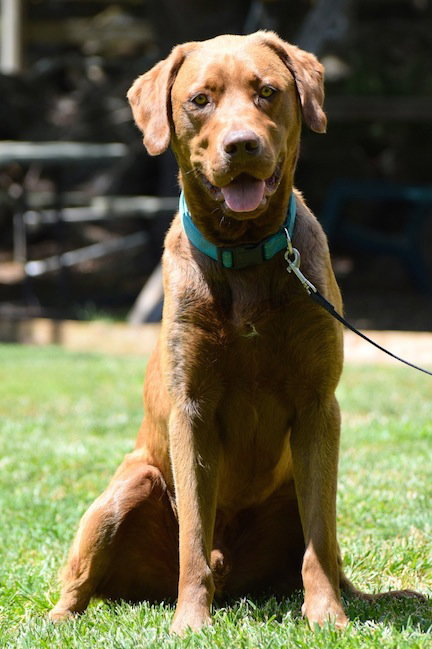Max