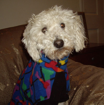 Teddy Valentino